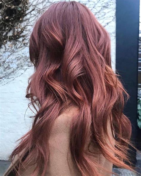 rose brown hair|rose brown hair australia.